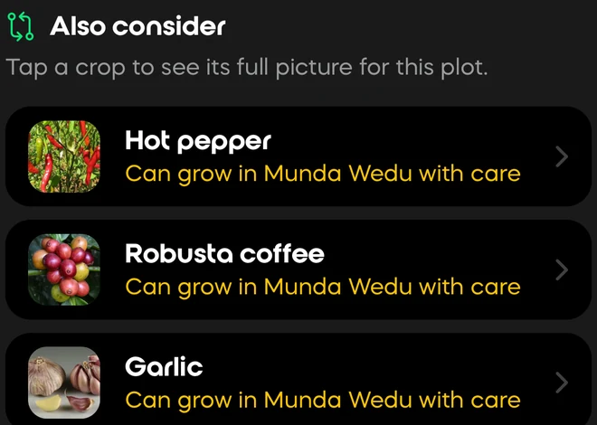 Also consider: ranked alternatives for this plot — hot pepper, robusta coffee and garlic, each able to grow here with care
