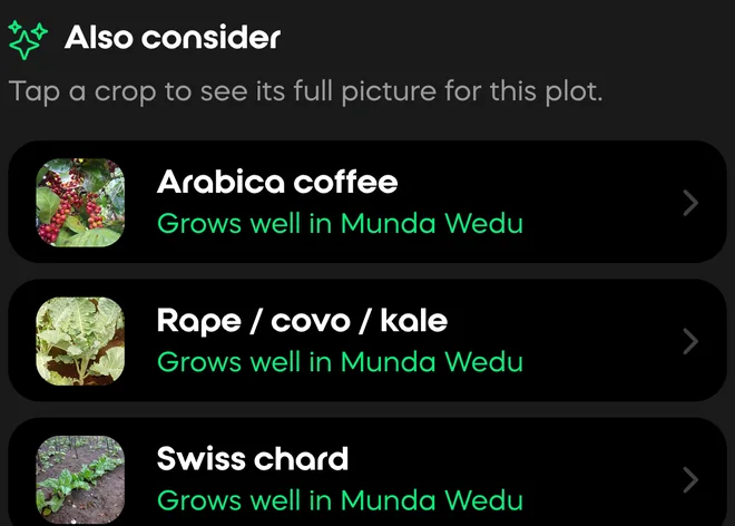 Also consider: ranked alternatives for this plot — arabica coffee, rape and Swiss chard, each growing well here