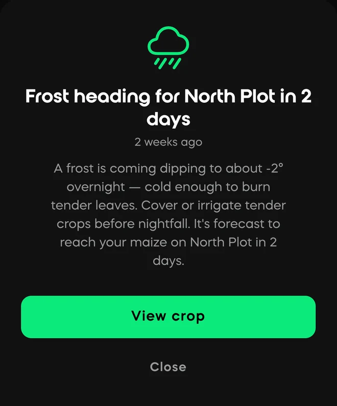 A Divisi frost warning: frost heading for North Plot in 2 days, dipping to about minus 2 overnight, with the cover-or-irrigate step to take before nightfall