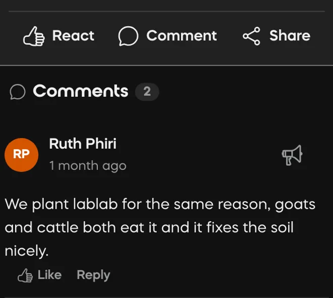 A Farmer Hive question about brown blister patches on coffee leaves, answered by another farmer explaining when leaf miner is worth spraying for