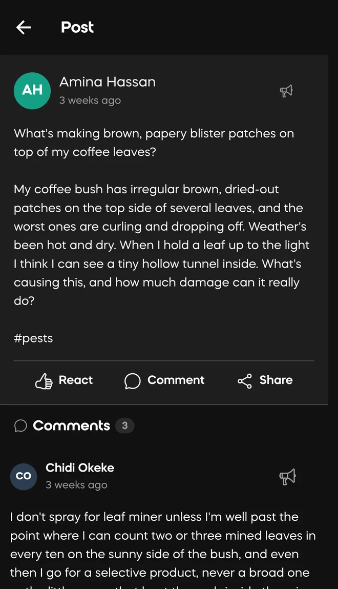 A Farmer Hive question about brown blister patches on coffee leaves, answered by another farmer explaining when leaf miner is worth spraying for