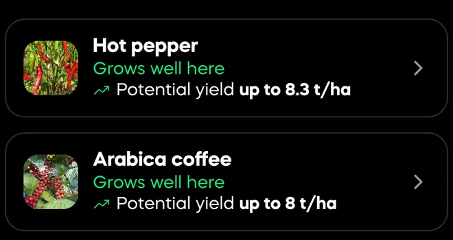 Two Divisi crop picks for one field: hot pepper and arabica coffee, each with a photo, a grows-well-here verdict and expected yield