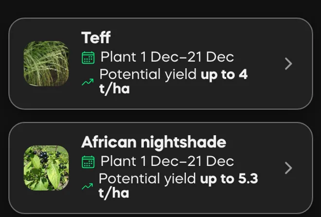 Two Divisi crop picks for one field, each with a photo, the best planting window and the yield to expect