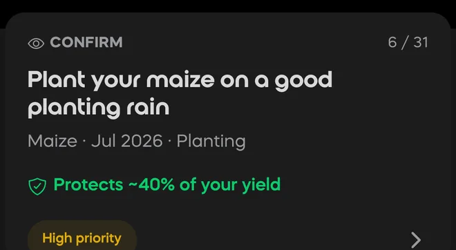 A Divisi task card: plant your maize on a good planting rain — protecting about 40%% of the yield, high priority