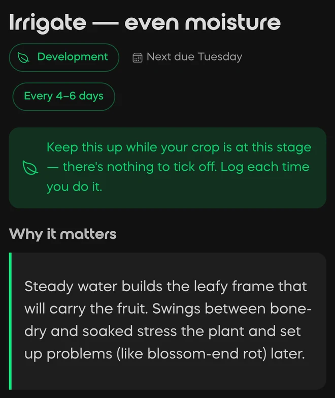 Why it matters, inside a Divisi task: steady water builds the leafy frame that will carry the fruit, and swings between bone-dry and soaked cause blossom-end rot later
