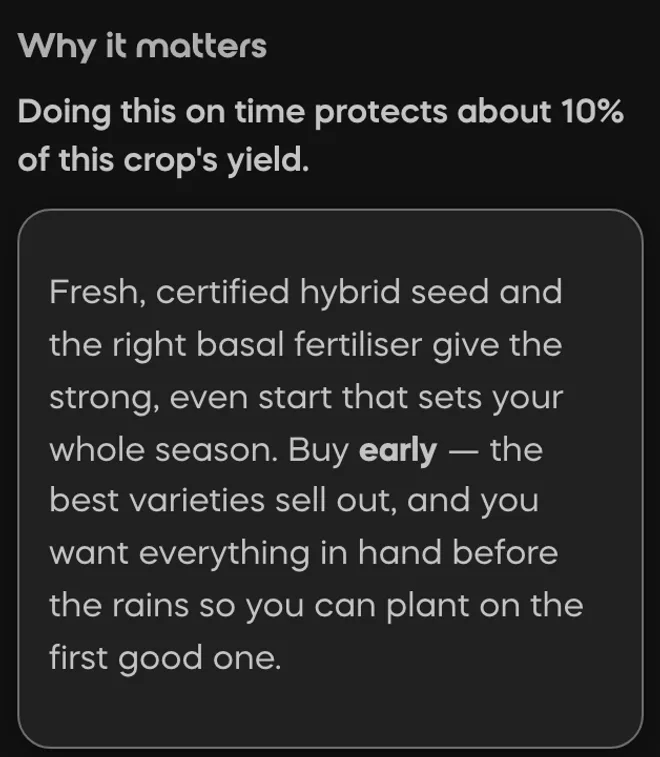 Why it matters, inside a Divisi task: steady water builds the leafy frame that will carry the fruit, and swings between bone-dry and soaked cause blossom-end rot later